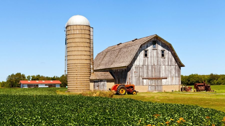 Trump Tariffs Begin to Weigh on U.S. Farm Economy